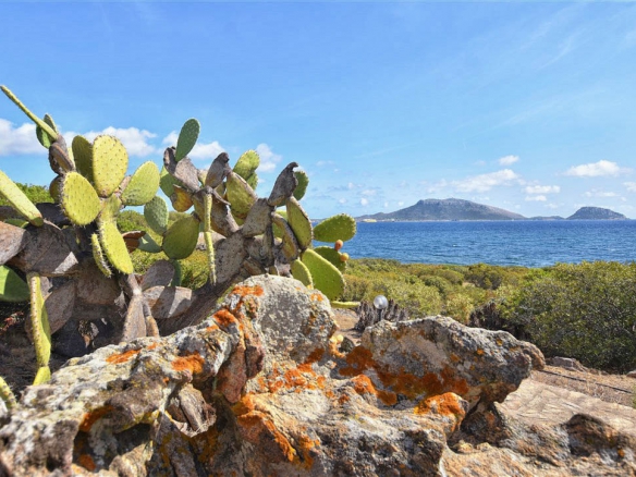 Luxury villa golfo arancicosta smeralda Sardegna